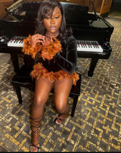 Load image into Gallery viewer, Fancy Feather Dress