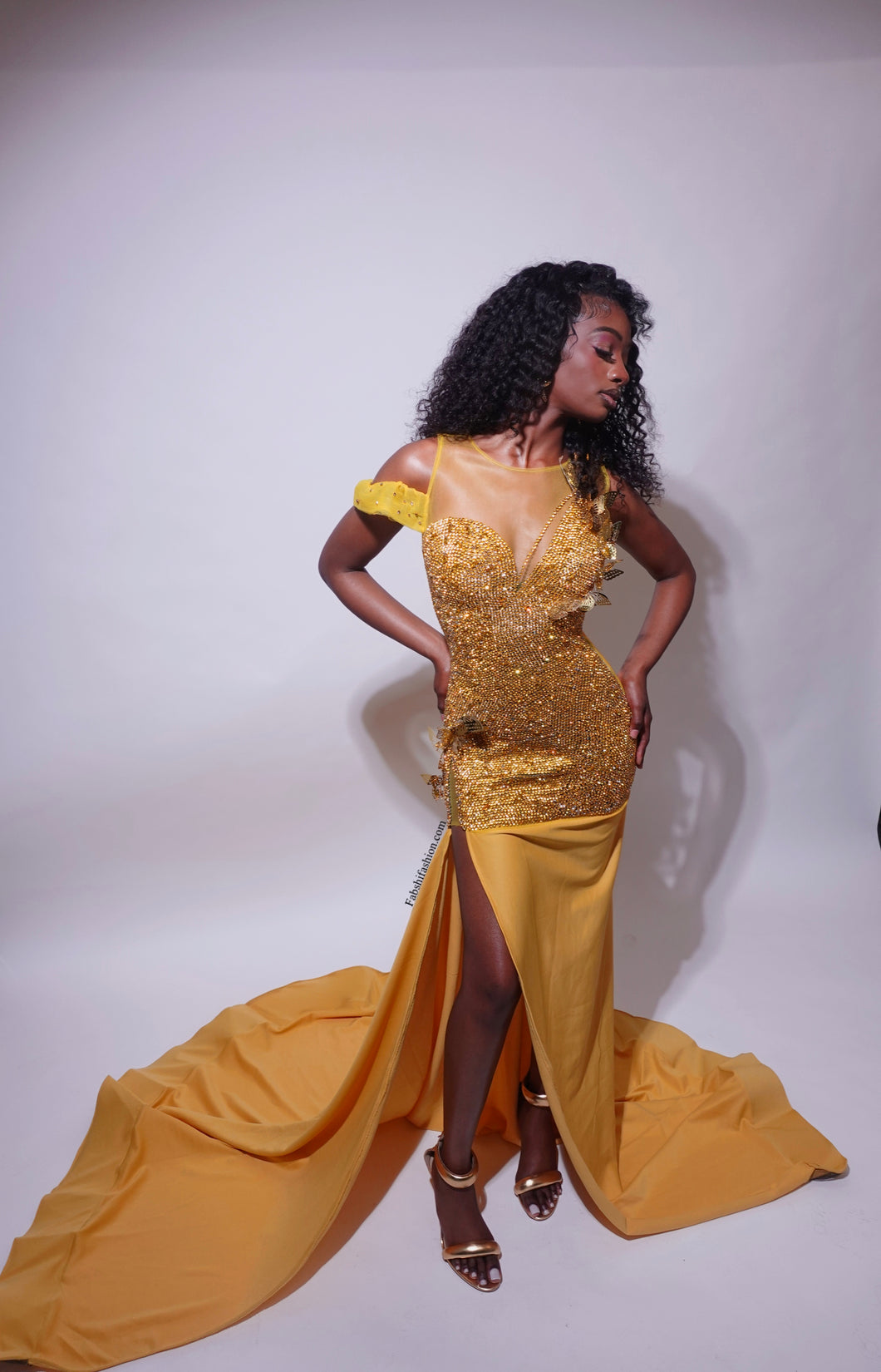 Butterfly Gown
