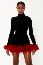 Load image into Gallery viewer, Fancy Feather Dress
